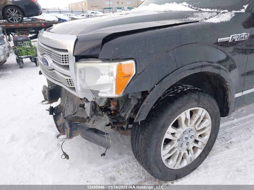 2011 Ford F-150 Platinum VIN: 1FTFW1E66BFA97930 Lot: 12450846