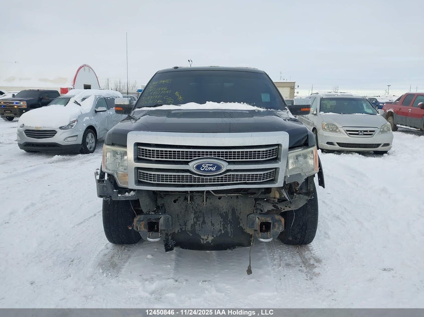 2011 Ford F-150 Platinum VIN: 1FTFW1E66BFA97930 Lot: 12450846