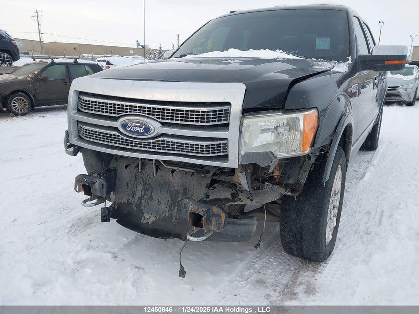 2011 Ford F-150 Platinum VIN: 1FTFW1E66BFA97930 Lot: 12450846