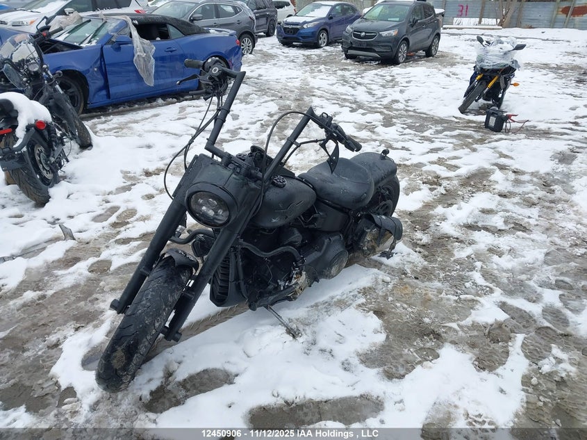 1HD1JNV18CB052113 2012 HARLEY-DAVIDSON FAT BOY photo no. 2