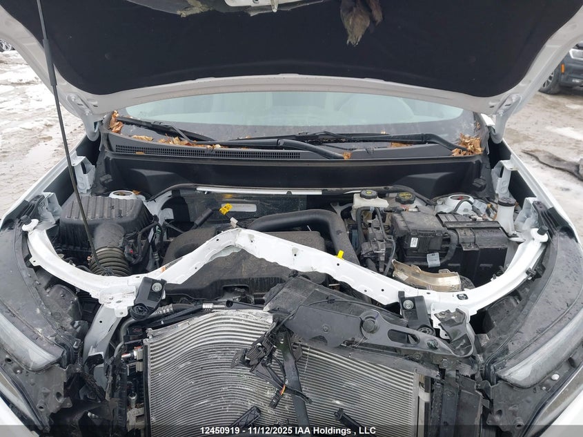 2024 Chevrolet Equinox Ls VIN: 3GNAXSEG5RL302246 Lot: 12450919