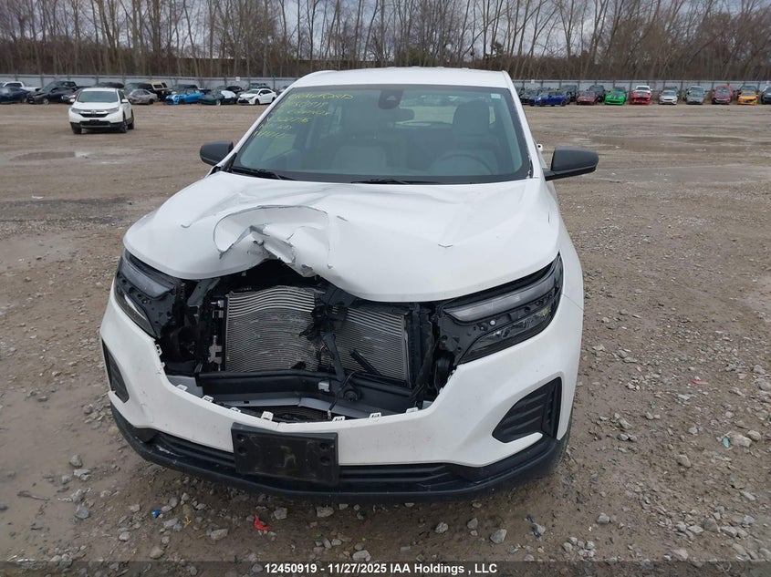 2024 Chevrolet Equinox Ls VIN: 3GNAXSEG5RL302246 Lot: 12450919