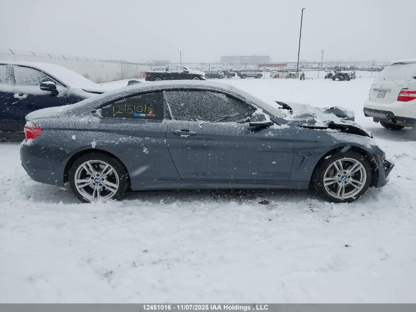 2019 BMW 430Xi VIN: WBA4W5C51KAE49639 Lot: 12451016