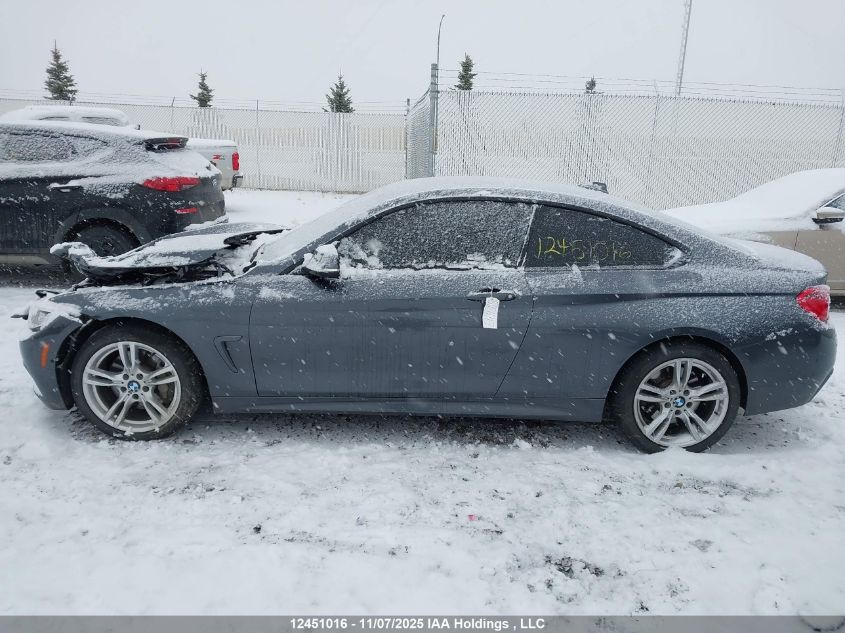 2019 BMW 430Xi VIN: WBA4W5C51KAE49639 Lot: 12451016