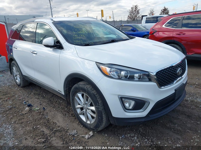 2017 Kia Sorento Lx/L VIN: 5XYPGDA34HG255105 Lot: 12451049