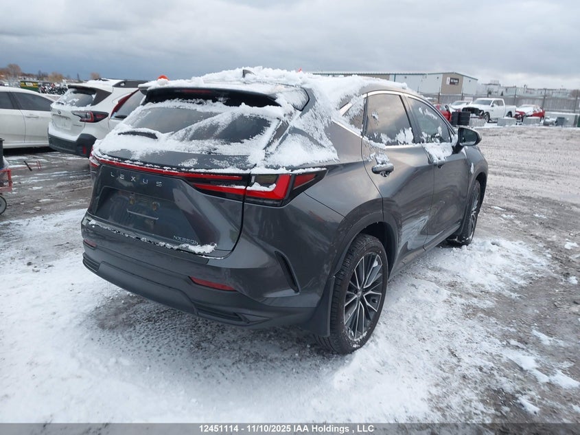 2T2GKCEZ1RC021830 2024 LEXUS NX photo no. 4