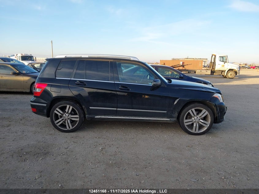 WDCGG8HB9AF429774 2010 MERCEDES-BENZ GLK-KLASSE photo no. 13