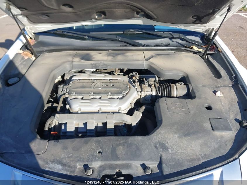 2010 Acura Tl VIN: 19UUA9F50AA800218 Lot: 12451248