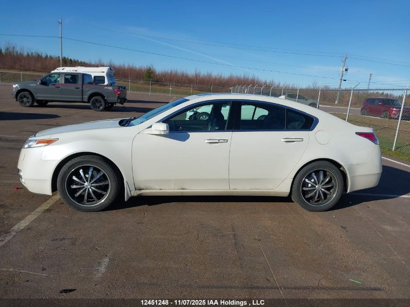 2010 Acura Tl VIN: 19UUA9F50AA800218 Lot: 12451248