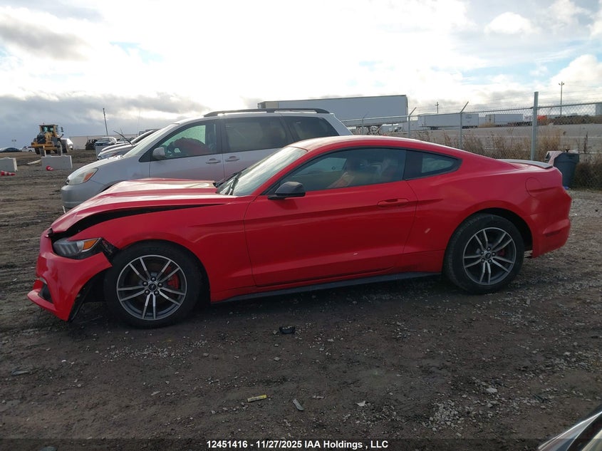 1FA6P8TH6F5323931 2015 FORD MUSTANG photo no. 14