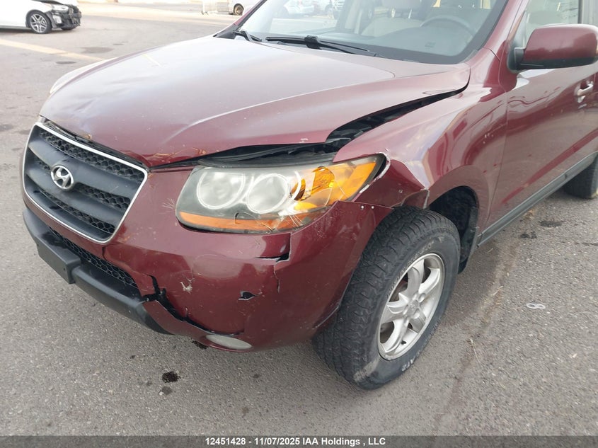 5NMSG13E99H291595 2009 HYUNDAI SANTA FE photo no. 6