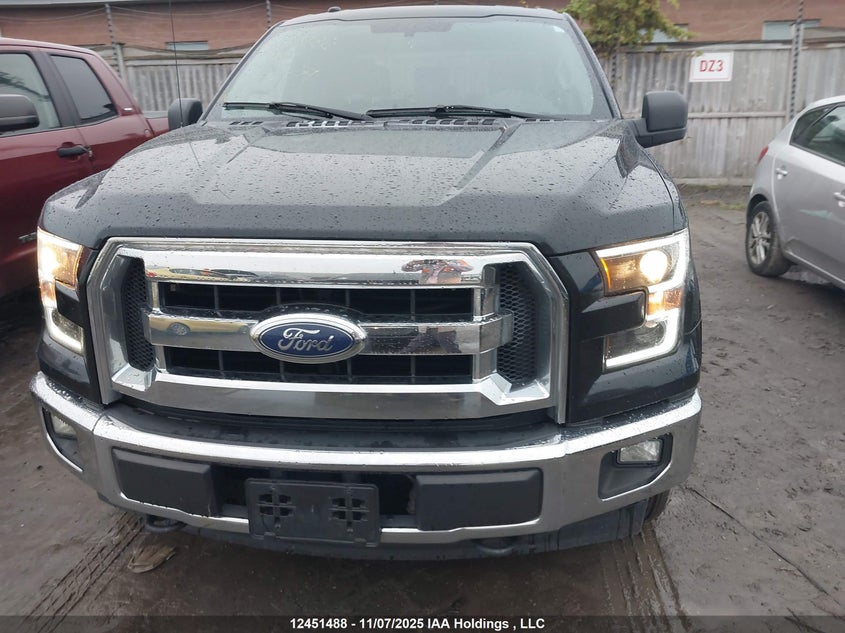 1FTEX1E84HKE28479 2017 FORD F-150 photo no. 12