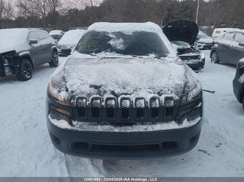 1C4PJMCS2GW110832 2016 JEEP CHEROKEE photo no. 12