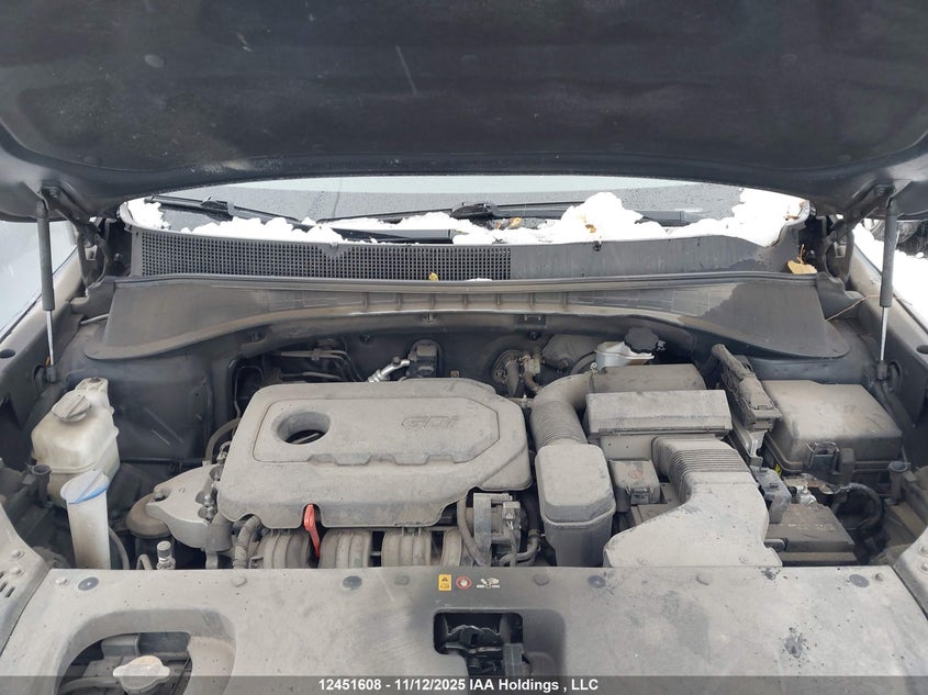 5XYPGDA31LG613589 2020 KIA SORENTO photo no. 10