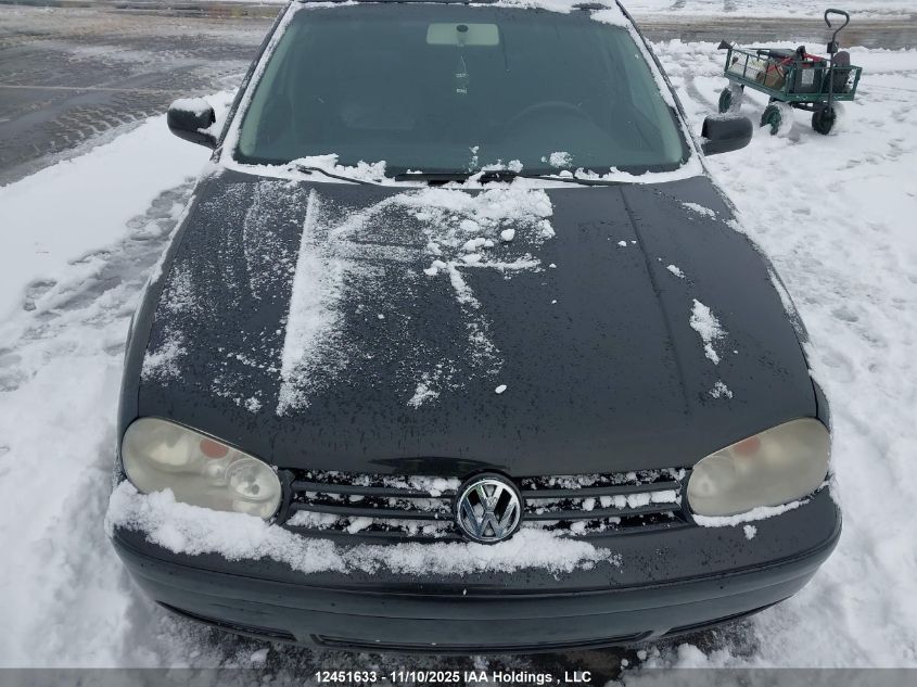 2002 Volkswagen Golf VIN: 9BWGP21J024064585 Lot: 12451633