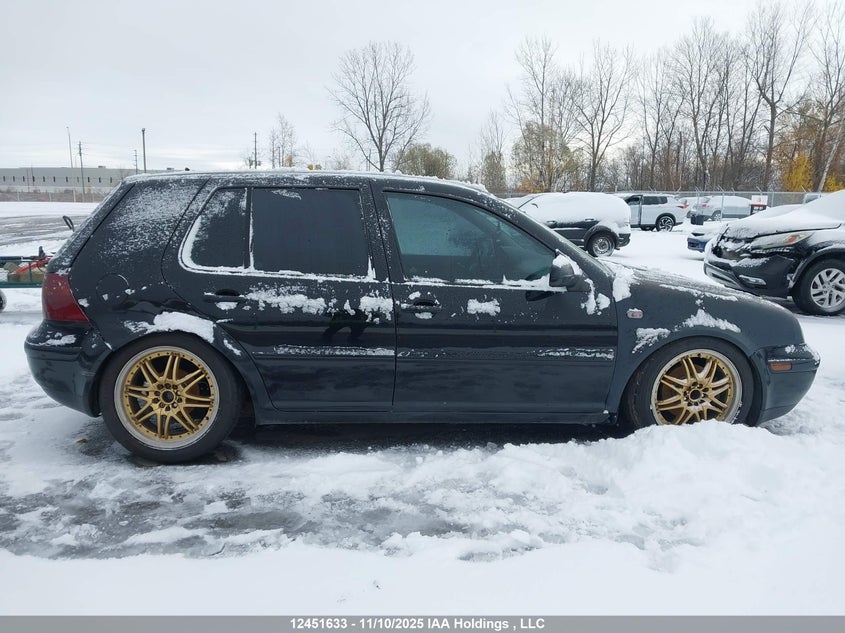 2002 Volkswagen Golf VIN: 9BWGP21J024064585 Lot: 12451633