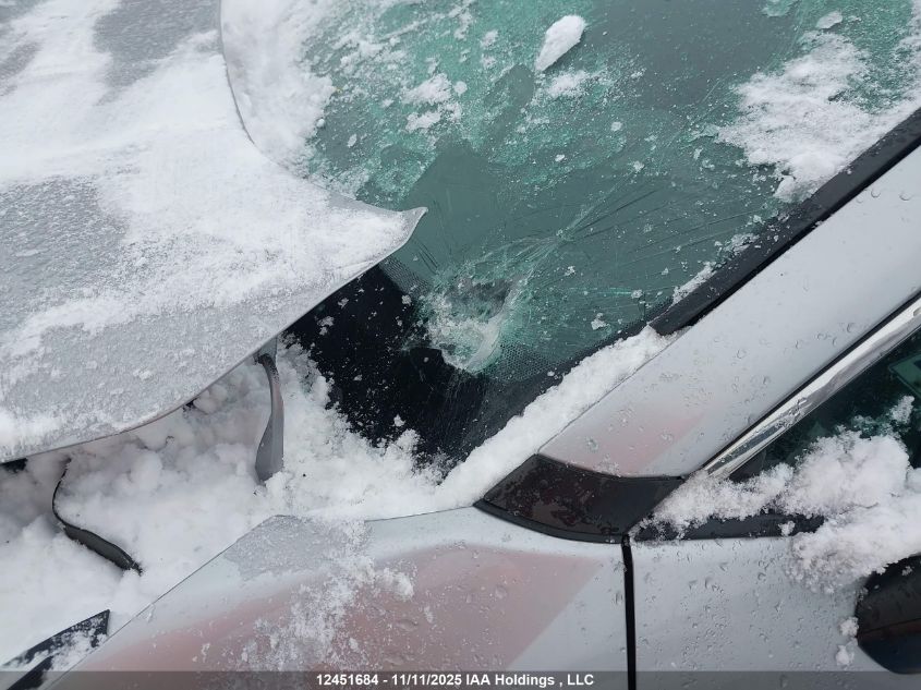 2020 Toyota Rav4 Le VIN: 2T3B1RFV9LW100773 Lot: 12451684