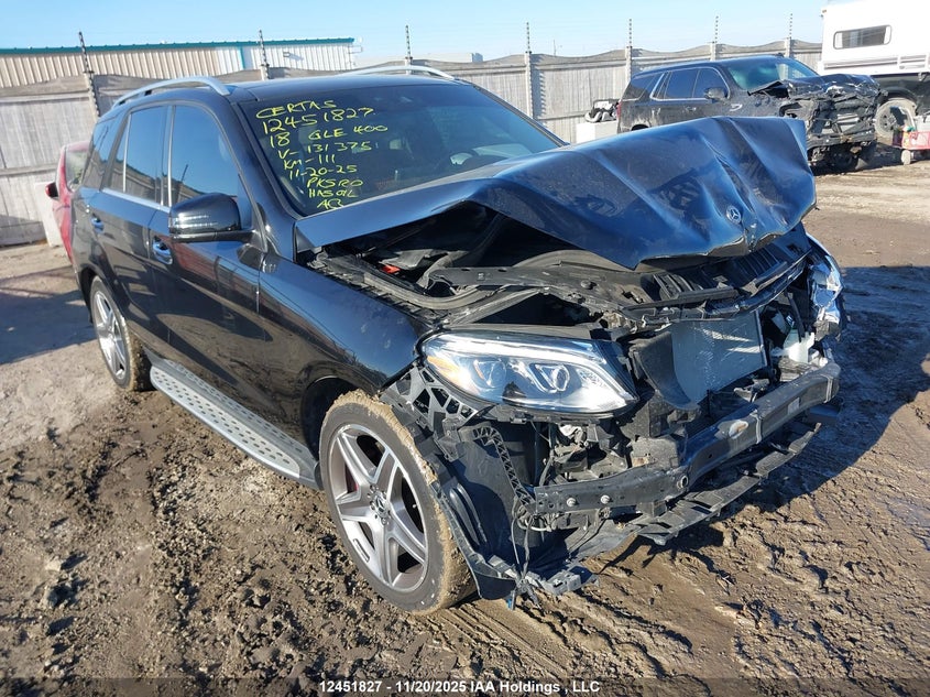 4JGDA5GBXJB131375 2018 MERCEDES-BENZ GLE photo no. 9