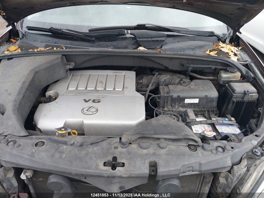 JTJHK31UX82030569 2008 LEXUS RX photo no. 10