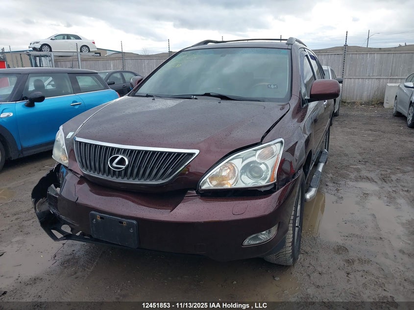 JTJHK31UX82030569 2008 LEXUS RX photo no. 12