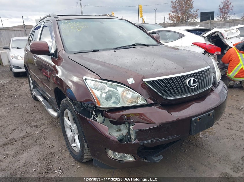 JTJHK31UX82030569 2008 LEXUS RX photo no. 6