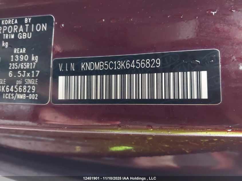 2019 Kia Sedona Lx VIN: KNDMB5C13K6456829 Lot: 12451901