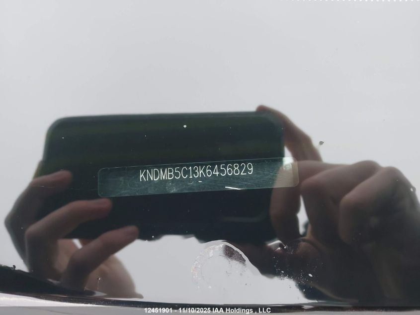 2019 Kia Sedona Lx VIN: KNDMB5C13K6456829 Lot: 12451901