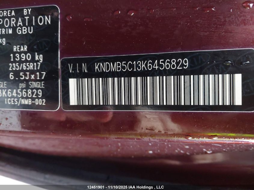2019 Kia Sedona Lx VIN: KNDMB5C13K6456829 Lot: 12451901