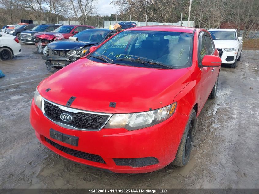 2012 Kia Forte Ex VIN: KNAFU5A21C5558519 Lot: 12452081