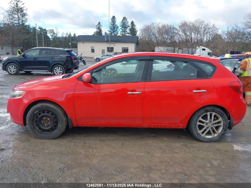 2012 Kia Forte Ex VIN: KNAFU5A21C5558519 Lot: 12452081