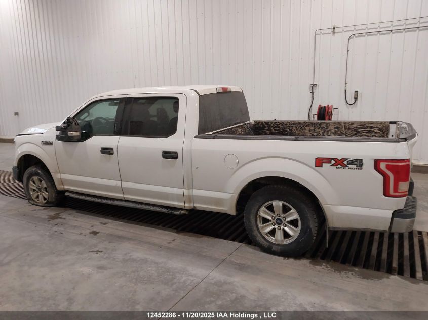 2016 Ford F-150 Xlt VIN: 1FTFW1EF0GFD26609 Lot: 12452286