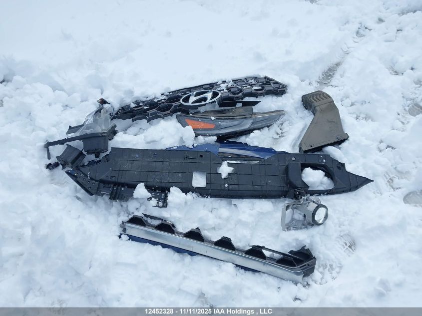 2020 Hyundai Santa Fe Se VIN: 5NMS23AD6LH139558 Lot: 12452328