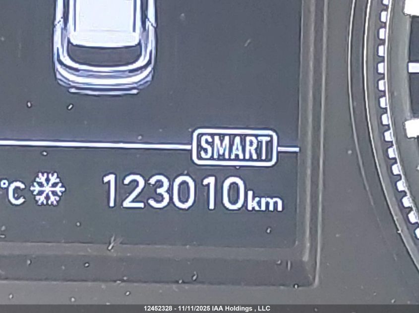 2020 Hyundai Santa Fe Se VIN: 5NMS23AD6LH139558 Lot: 12452328