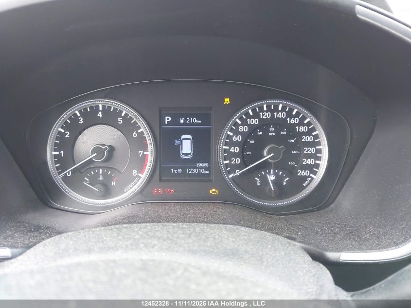 2020 Hyundai Santa Fe Se VIN: 5NMS23AD6LH139558 Lot: 12452328