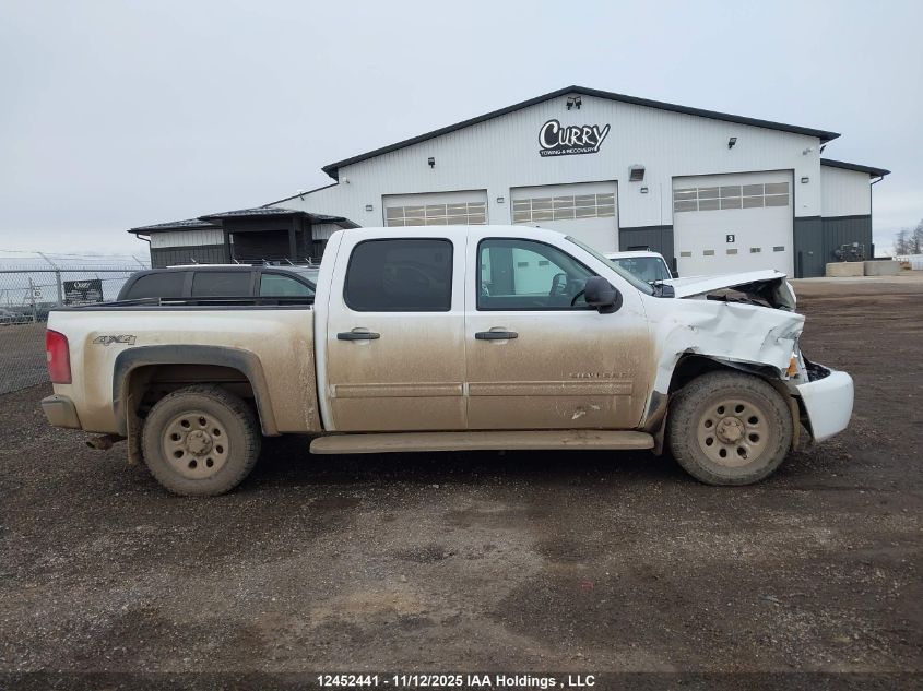 2011 Chevrolet Silverado 1500 Ls VIN: 3GCPKREA1BG386876 Lot: 12452441