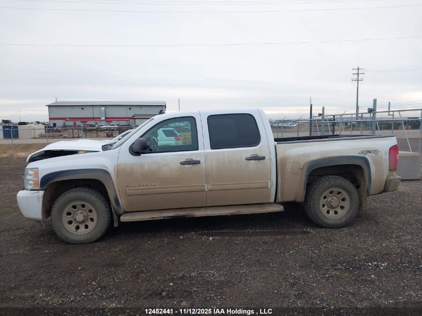 2011 Chevrolet Silverado 1500 Ls VIN: 3GCPKREA1BG386876 Lot: 12452441