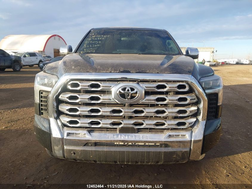 2024 Toyota Tundra Platinum 4X4 VIN: 5TFMA5DB8RX176130 Lot: 12452464