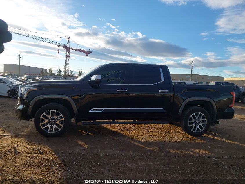 2024 Toyota Tundra Platinum 4X4 VIN: 5TFMA5DB8RX176130 Lot: 12452464