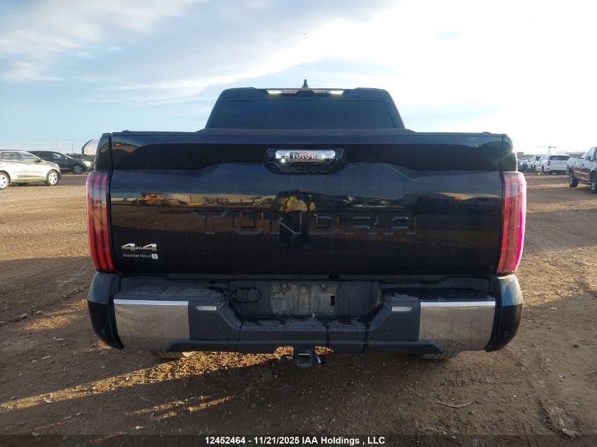 2024 Toyota Tundra Platinum 4X4 VIN: 5TFMA5DB8RX176130 Lot: 12452464