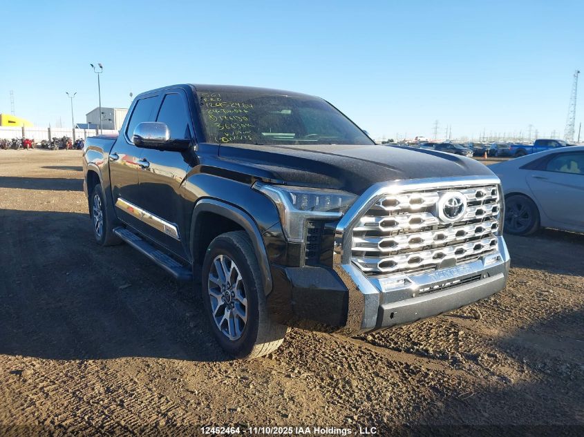 2024 Toyota Tundra Platinum 4X4 VIN: 5TFMA5DB8RX176130 Lot: 12452464
