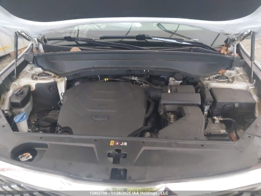 2020 Kia Telluride Ex VIN: 5XYP3DHC5LG033862 Lot: 12452705