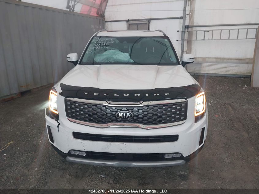 2020 Kia Telluride Ex VIN: 5XYP3DHC5LG033862 Lot: 12452705
