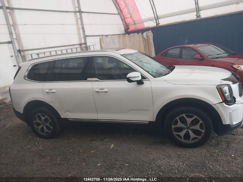 2020 Kia Telluride Ex VIN: 5XYP3DHC5LG033862 Lot: 12452705