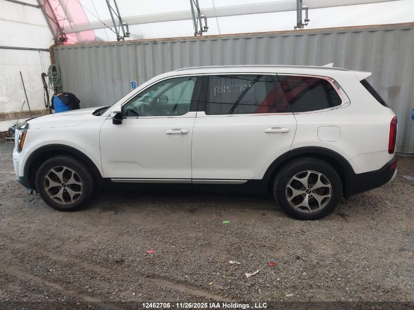 2020 Kia Telluride Ex VIN: 5XYP3DHC5LG033862 Lot: 12452705