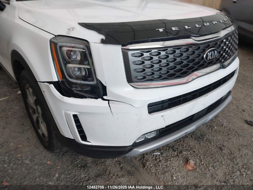 2020 Kia Telluride Ex VIN: 5XYP3DHC5LG033862 Lot: 12452705