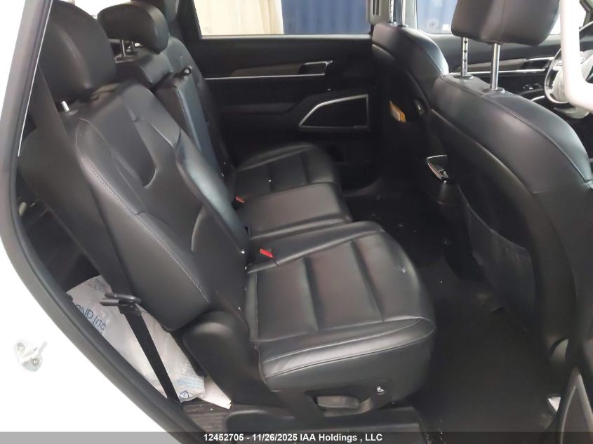 2020 Kia Telluride Ex VIN: 5XYP3DHC5LG033862 Lot: 12452705