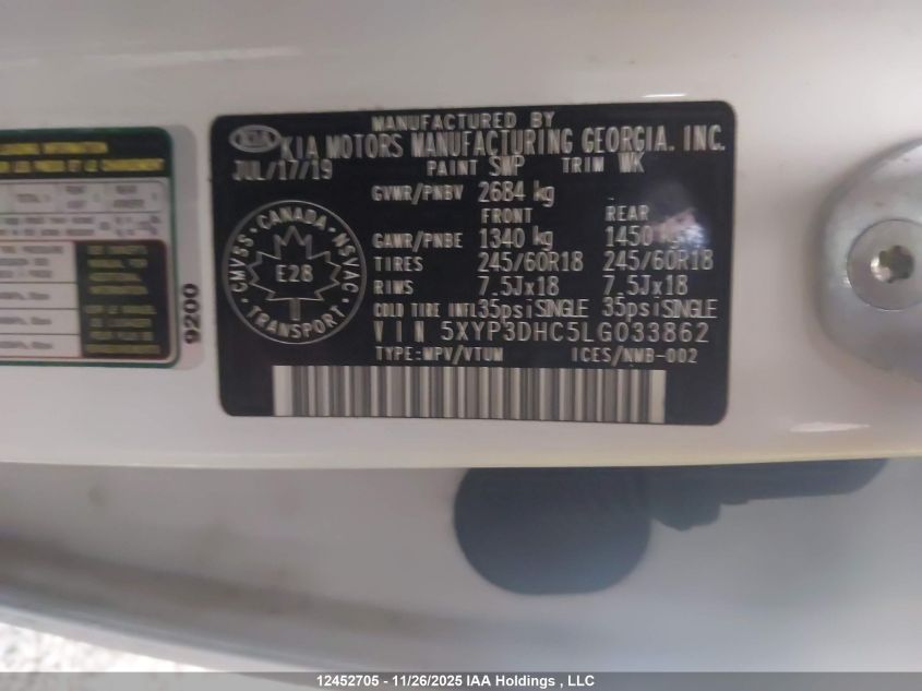 2020 Kia Telluride Ex VIN: 5XYP3DHC5LG033862 Lot: 12452705