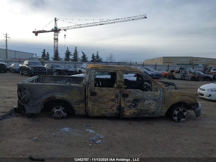 2010 Ford F-150 Fx4/Harley-Davidson/Lariat/Xlt VIN: 1FTFW1EV5AFC26102 Lot: 12452757