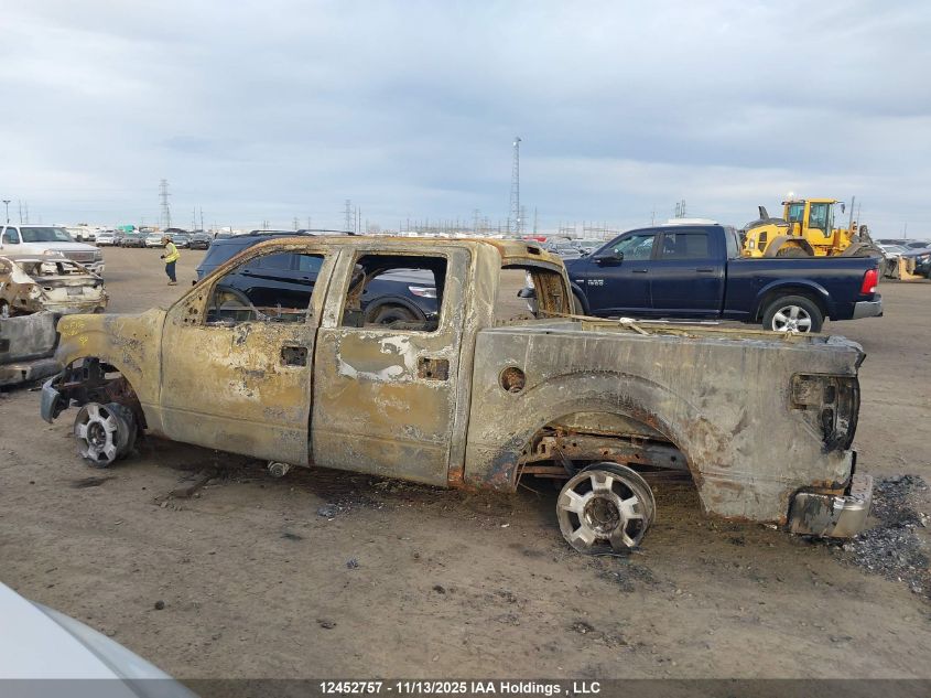 2010 Ford F-150 Fx4/Harley-Davidson/Lariat/Xlt VIN: 1FTFW1EV5AFC26102 Lot: 12452757