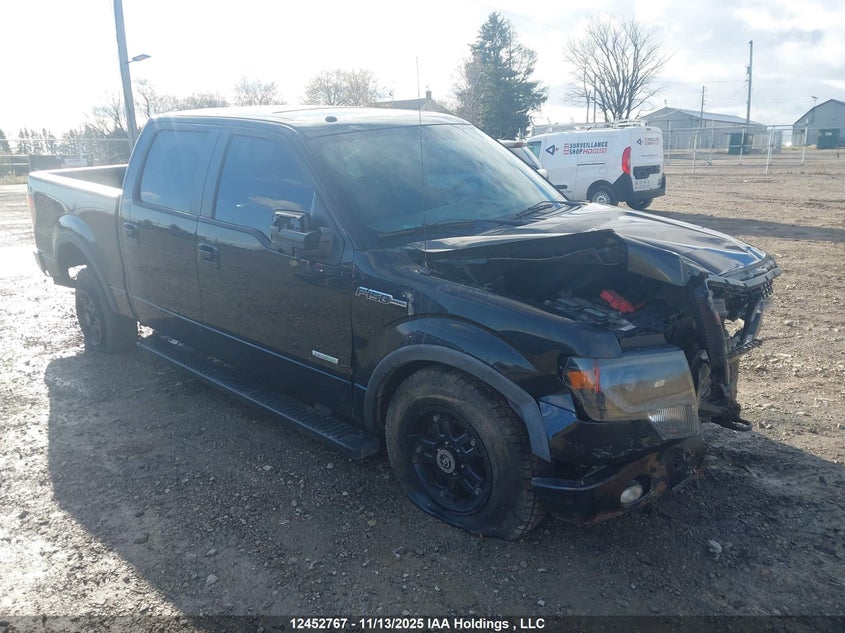 1FTFW1ET2EFA53109 2014 FORD F-150 photo no. 10